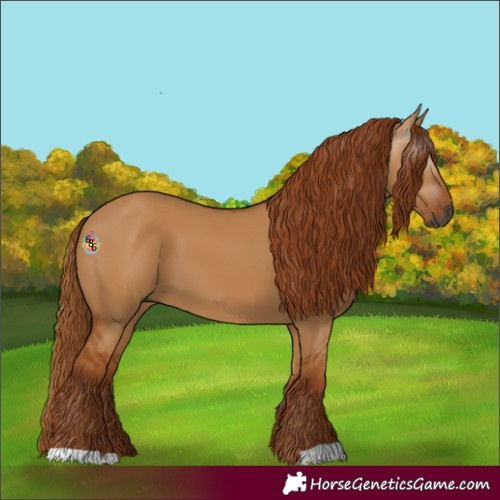 Horse Color:Gray Red Dun