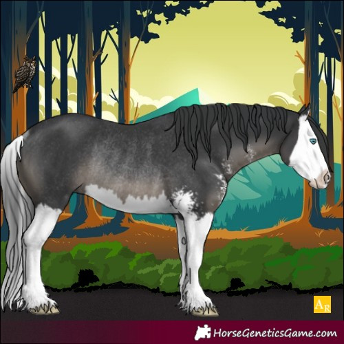 Horse Color:Black Sabino Splash Rabicano 
