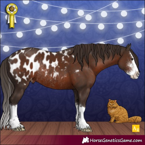 Horse Color:Liver Chestnut Sabino Splash Appaloosa Rabicano 
