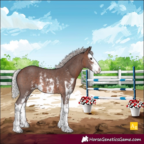 Horse Color:Silver Brown Sabino Splash Rabicano 