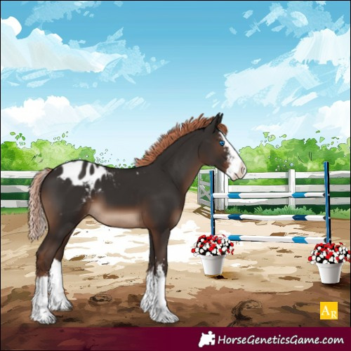 Horse Color:Liver Chestnut Sabino Splash Blanket 