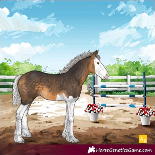 Horse Color:Silver Buckskin Splash 