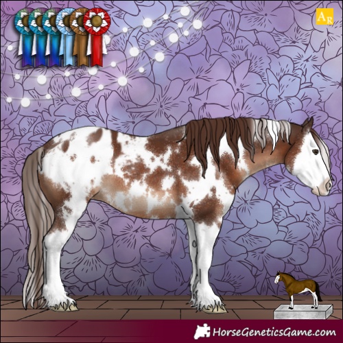 Horse Color:White Spotted Liver Chestnut Splash Appaloosa