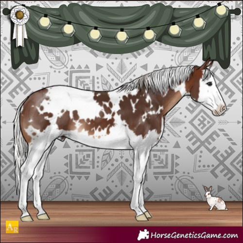 Horse Color:White Spotted Silver Brown Splash 