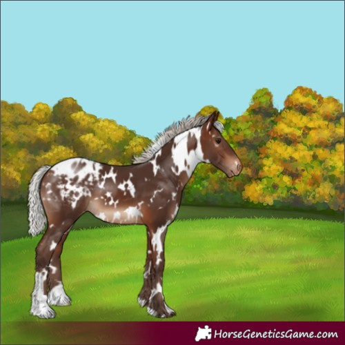 Horse Color:White Spotted Silver Brown Varnish 