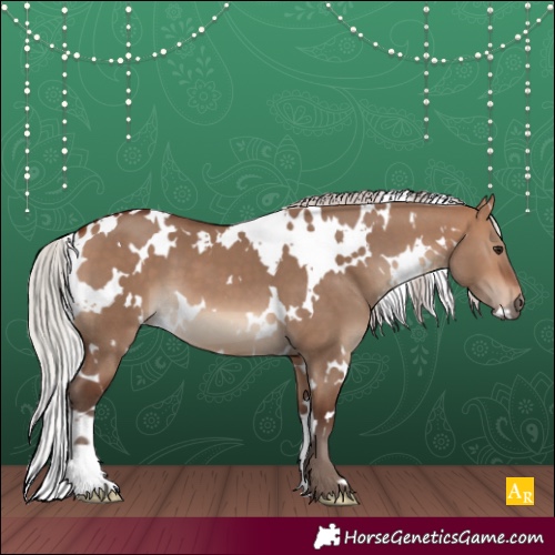 Horse Color:White Spotted Silver Bay Dun