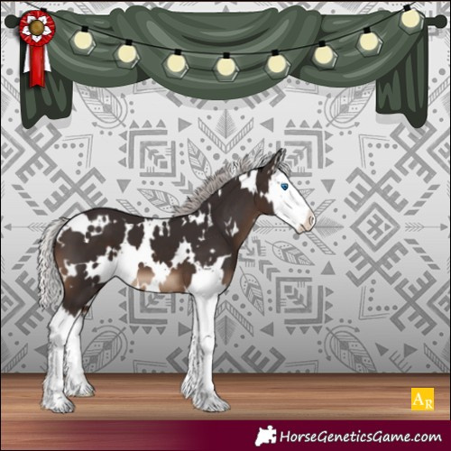 Horse Color:White Spotted Silver Brown Splash 