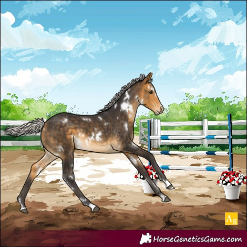 Horse Color:White Spotted Silver Buckskin 