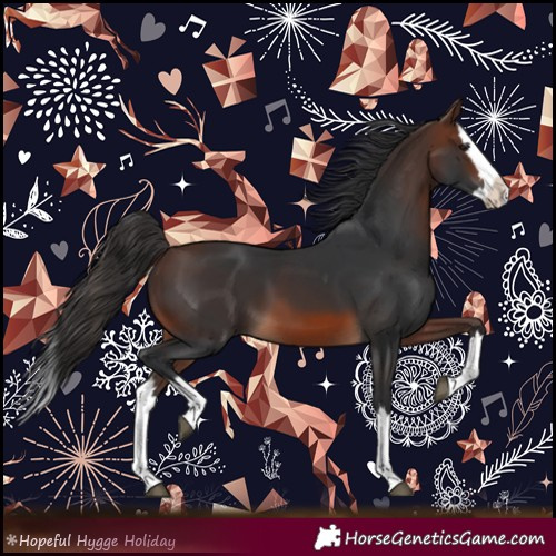 Horse Color:Brown Splash 