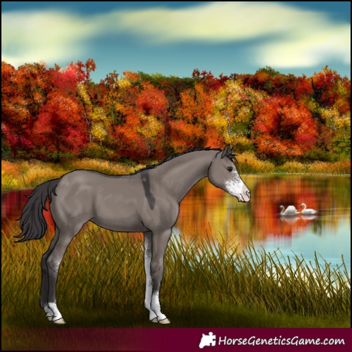 Horse Color:Smoky Grullo Sabino 