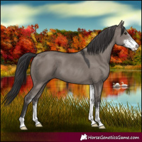 Horse Color:Smoky Grullo Sabino 
