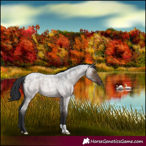 Horse Color:Brown Roan Dun