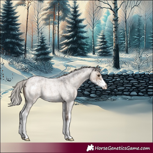 Horse Color:Silver Brown Roan Dun Sabino 