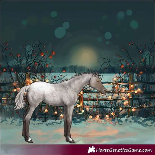Horse Color:Silver Grullo Roan Blanket