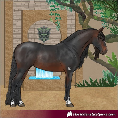 Horse Color:Brown Rabicano 