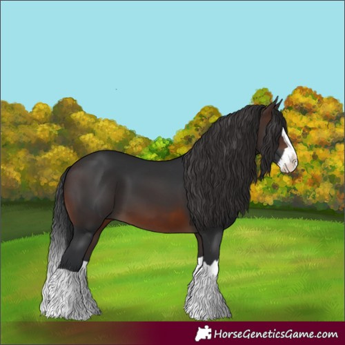 Horse Color:Brown Splash 