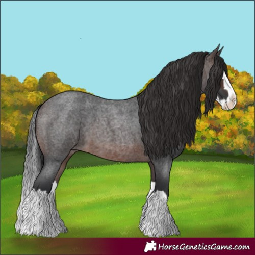 Horse Color:Brown Roan Splash 