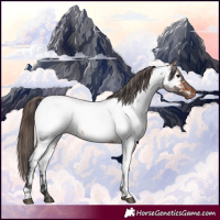 Horse Color:Bay Roan Fewspot 