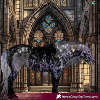 Horse Color:Void Watercolor Bay Ice Dun Tobiano Skewed Appaloosa Rabicano and Void Watercolor Silver Amber Champagne Ice Pearl Dun Tobiano Skewed Appaloosa Rabicano