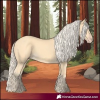 Horse Color:Gold Cream Champagne