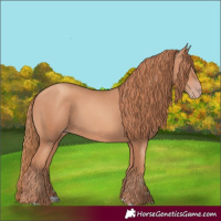 Horse Color:Gold Champagne