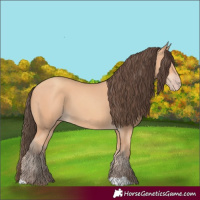 Horse Color:Amber Champagne