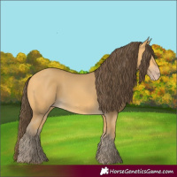 Horse Color:Amber Cream Champagne 