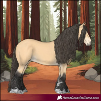 Horse Color:Buckskin 