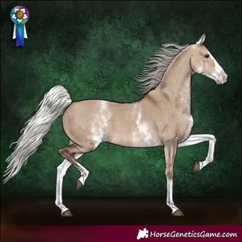 Horse Color:White Spotted Silver Bay Dun Splash 