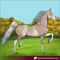 Horse Color:White Spotted Silver Bay Dun Splash 