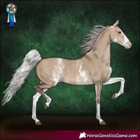 Horse Color:White Spotted Silver Bay Dun Splash 