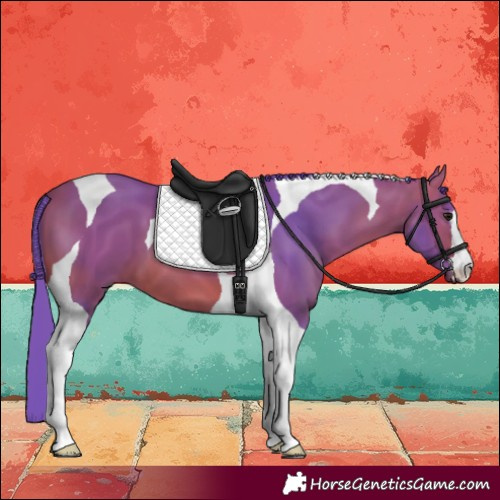 Horse Color:Watercolor Bay Tobiano 