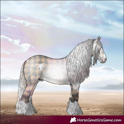 Horse Color:Gray Plaid  White Spotted Silver Brown Dun Splash 