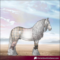 Horse Color:Gray Plaid White Spotted Silver Brown Dun Splash