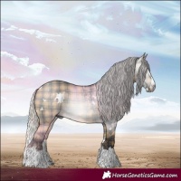 Horse Color:Gray Plaid White Spotted Silver Brown Dun Splash