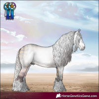 Horse Color:Gray Plaid White Spotted Silver Brown Dun Splash