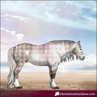 Horse Color:Gray Plaid  White Spotted Silver Brown Dun Splash 