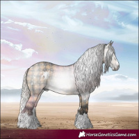 Horse Color:Gray Plaid White Spotted Silver Brown Dun Splash