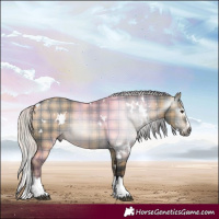 Horse Color:Gray Plaid  White Spotted Silver Brown Dun Splash 