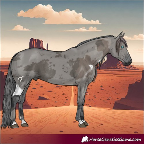Horse Color:Grullo Merle Rabicano 