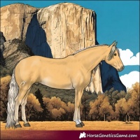 Horse Color:Palomino 