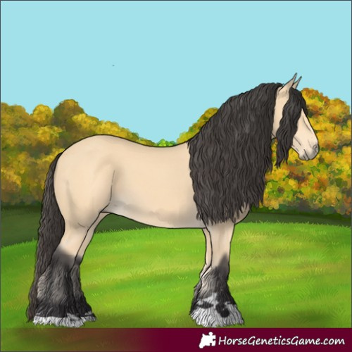 Horse Color:Buckskin 