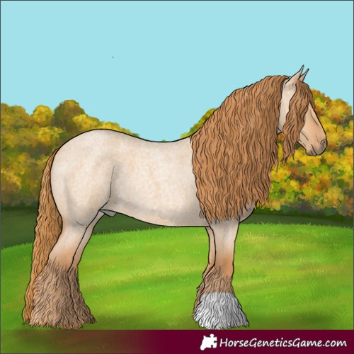 Horse Color:Red Dun Roan 