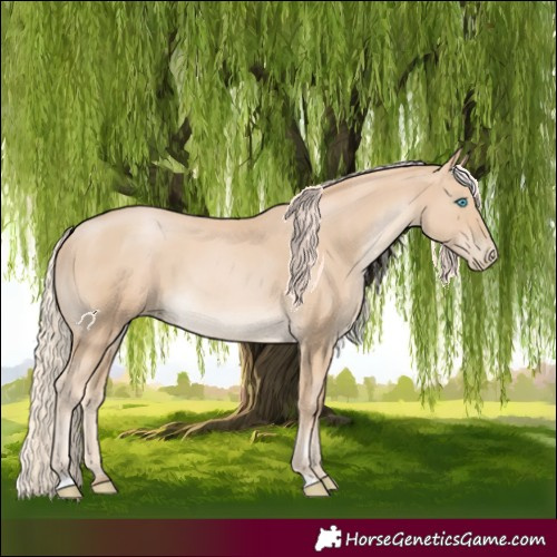 Horse Color:Palomino Pearl Rabicano 