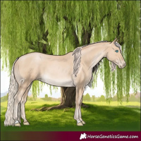 Horse Color:Palomino Pearl Rabicano 