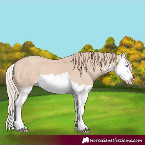 Horse Color:White Spotted Perlino Splash 