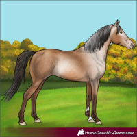 Horse Color:Gray Amber Champagne 