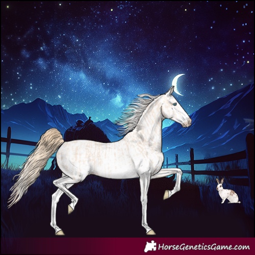 Horse Color:Perlino Sabino  and White Spotted Perlino 