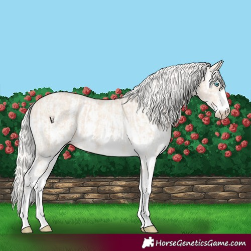 Horse Color:Cremello Sabino  and Cremello Dun Sabino 