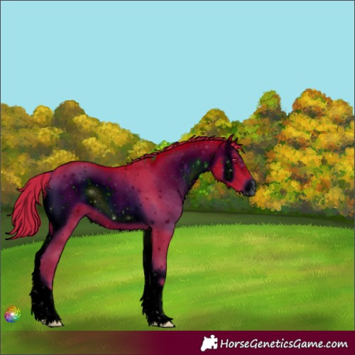 Horse Color:ERROR: UNKNOWN ANOMALY
